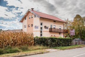 Hotels in Brežice